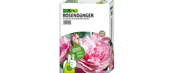 AUF ROSEN GEBETTET!